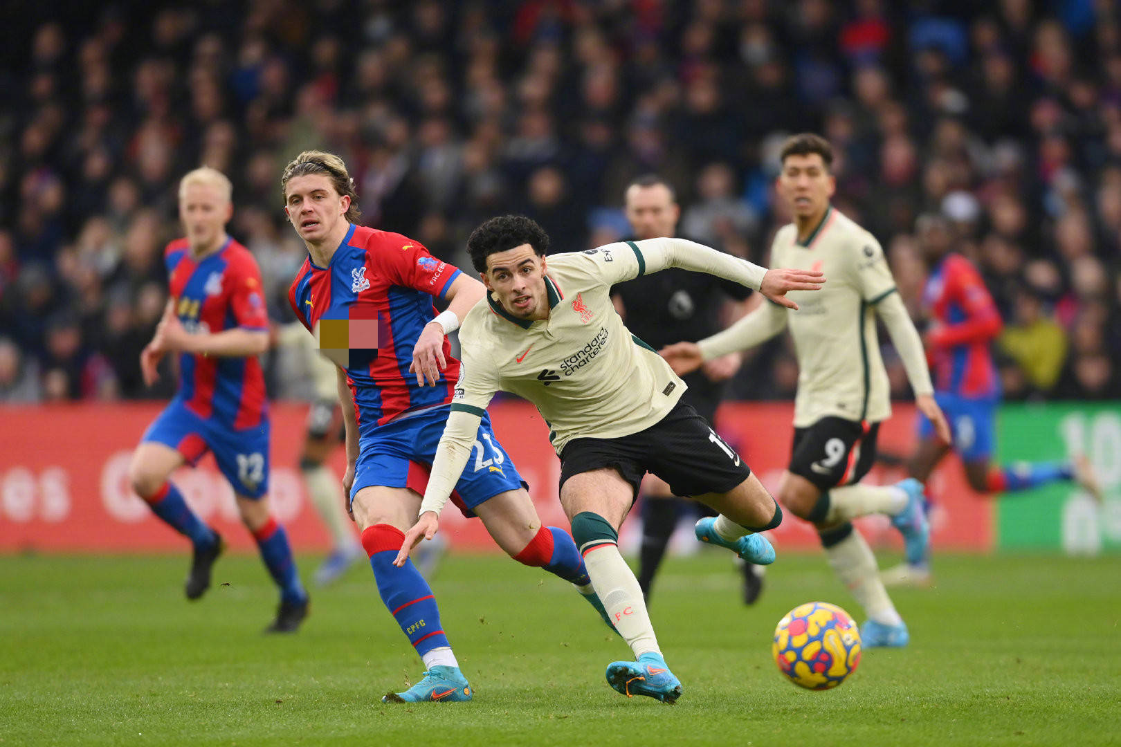 也为意甲联 也为意甲联